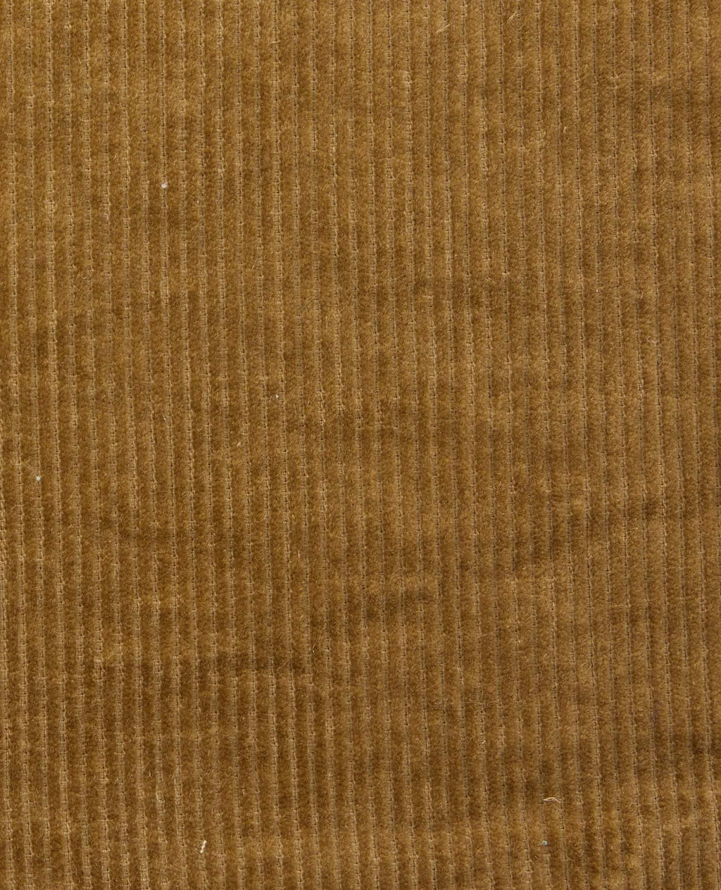 Pull-On Corduroy Pant - Honey Brown